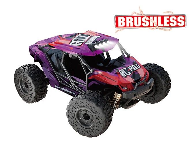 RIZZ 1/18 RTR Brushless Side-by-side ATV Purple